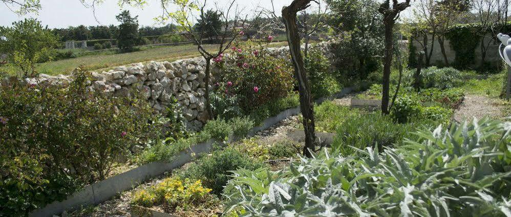 Masseria La Meridiana อัลตามูรา ภายนอก รูปภาพ